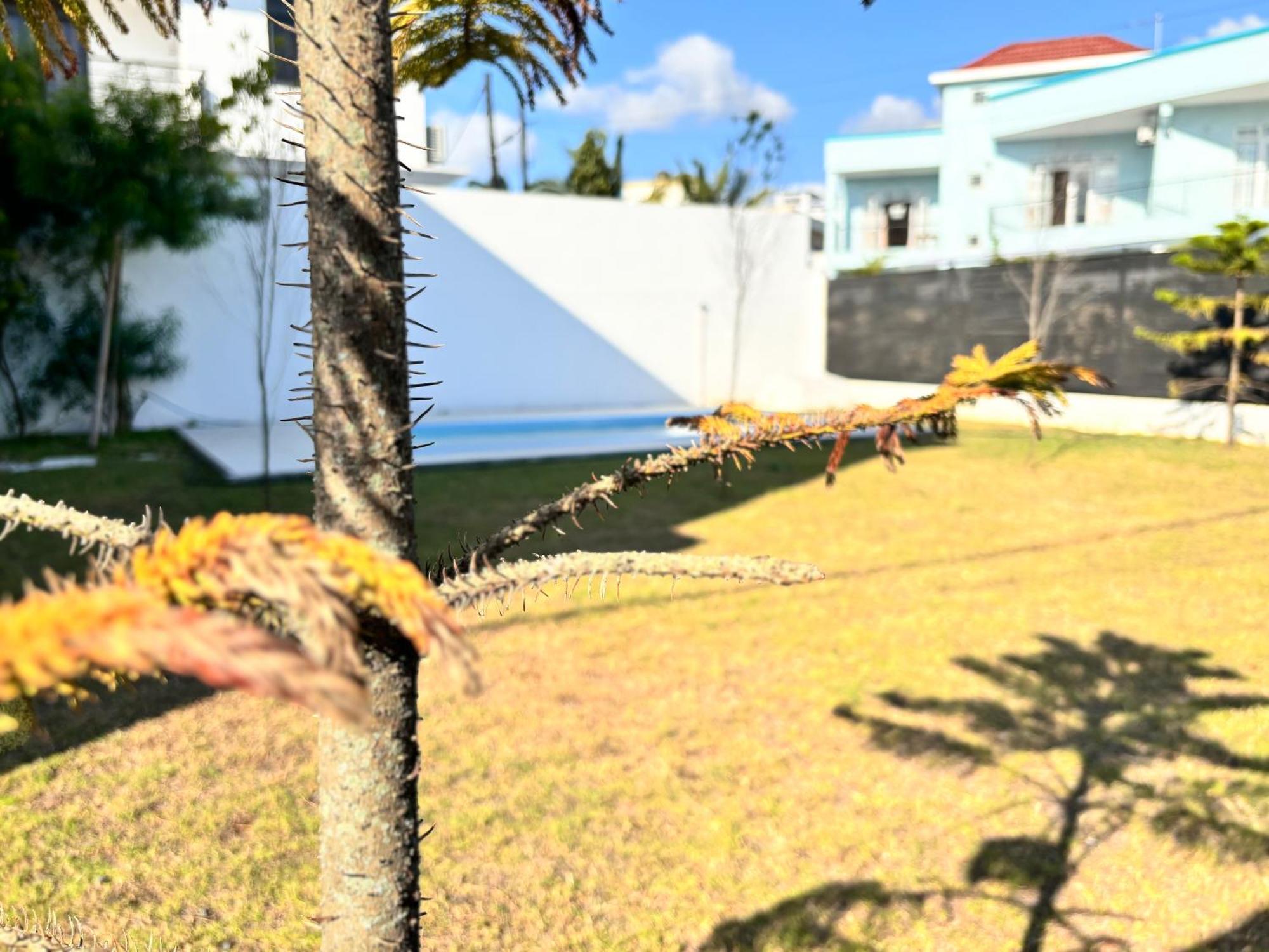 Maison Mont Choisy - One Or Two Bedrooms Apartment Trou aux Biches Exterior foto